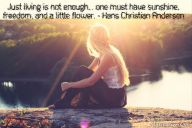 Just living is not enough… one must have sunshine, freedom, and a little flower. – Hans Christian Andersen