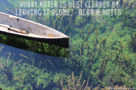 Muddy water is best cleared by leaving it alone. – Alan W. Watts