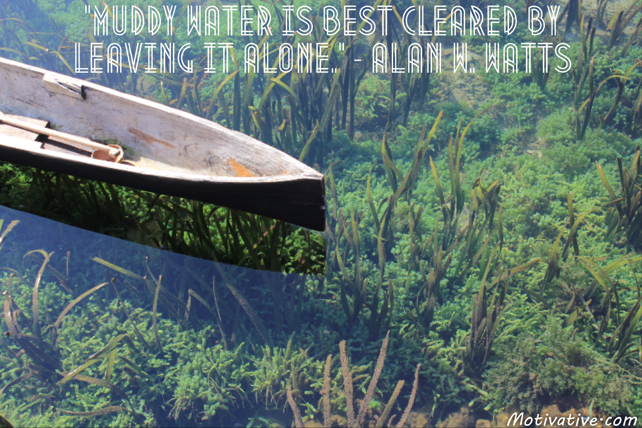 Muddy water is best cleared by leaving it alone. – Alan W. Watts