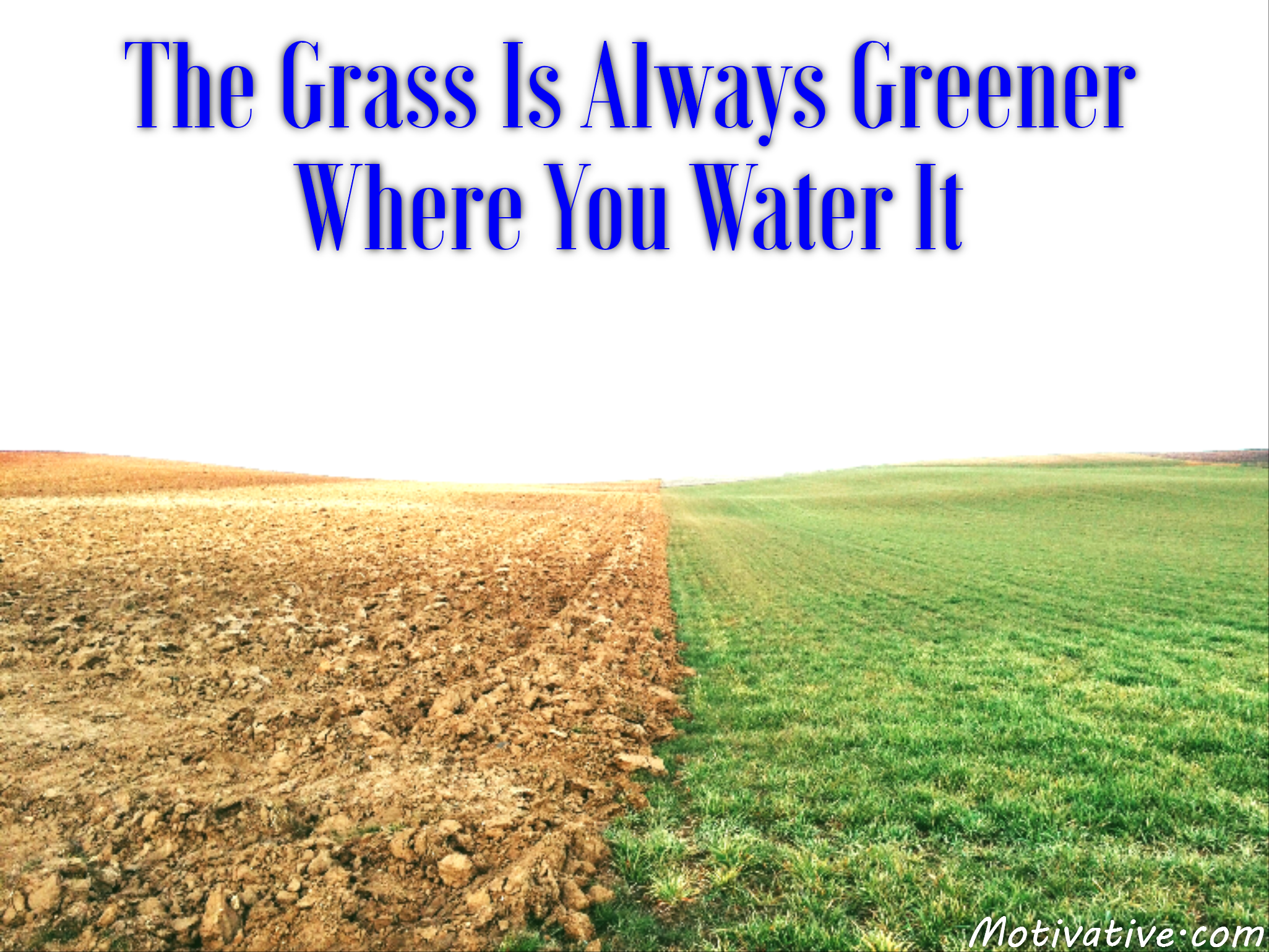 The Grass Is Always Greener Where You Water It