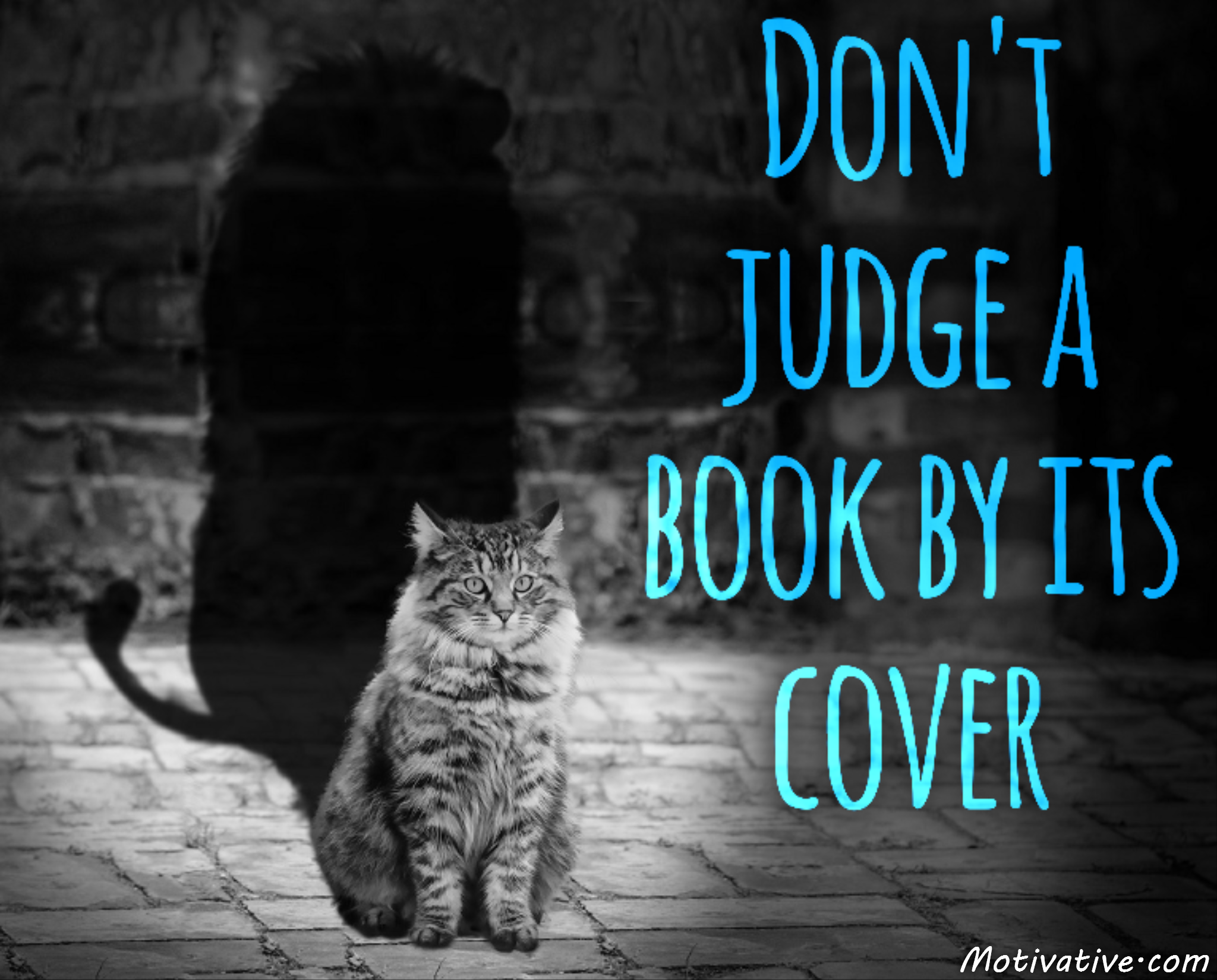 Don’t judge a book by its cover