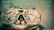 Dream your dreams with your eyes closed, but live your dreams with your eyes open. – Eric Collier