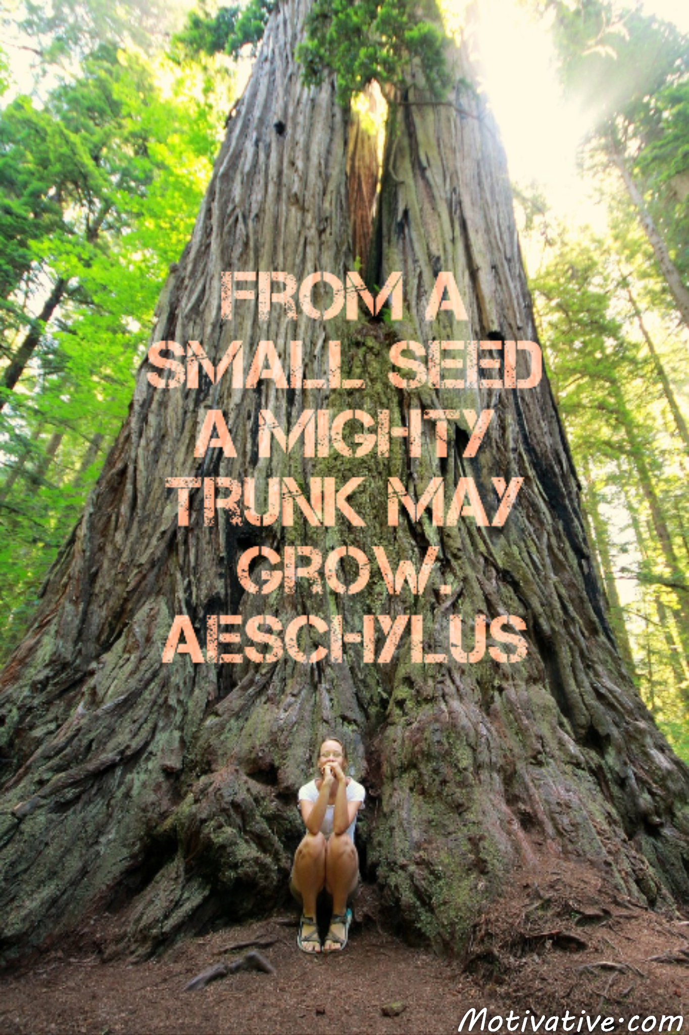 From a small seed a mighty trunk may grow. Aeschylus