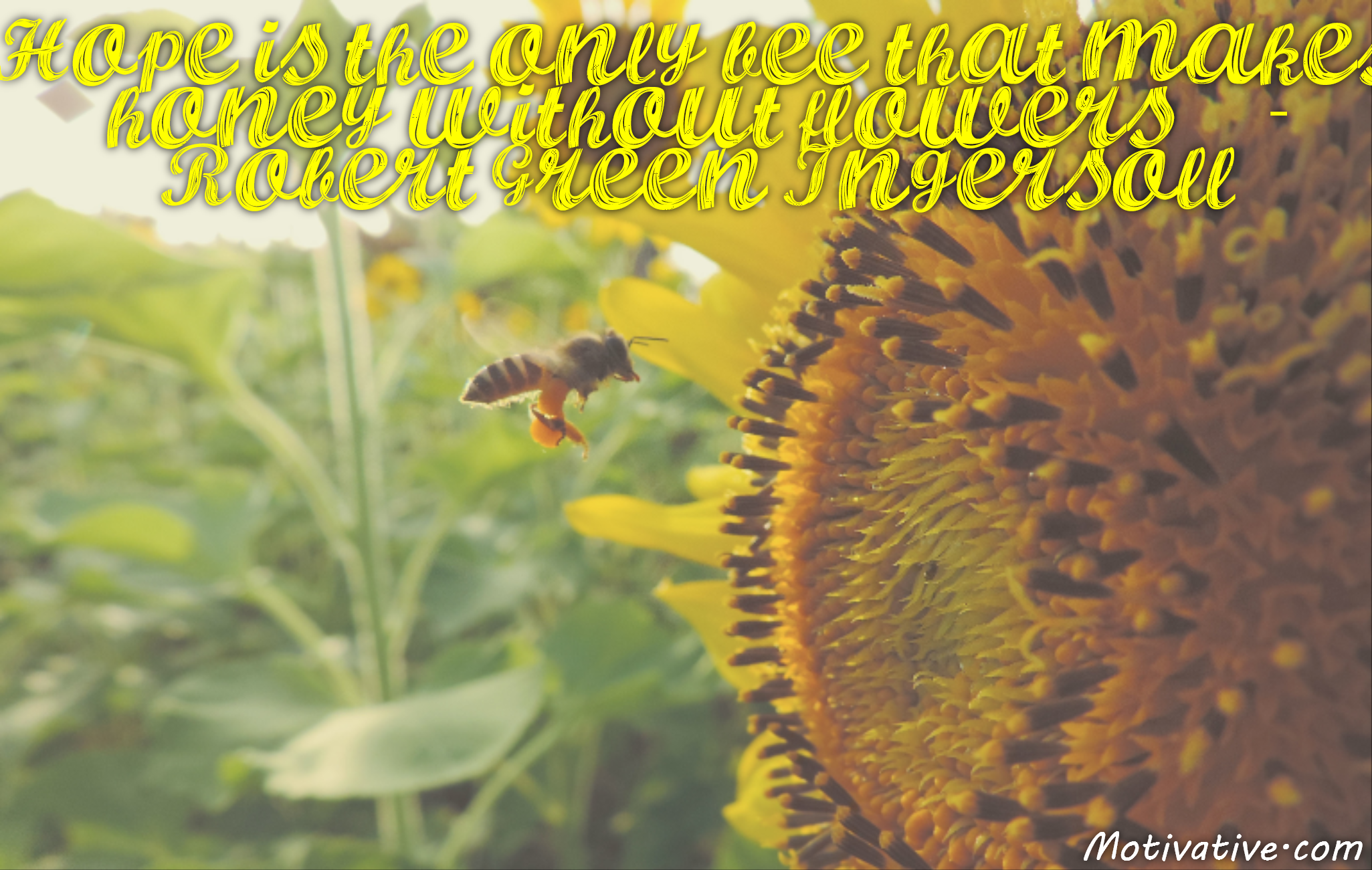 Hope is the only bee that makes honey without flowers. – Robert Green Ingersoll