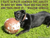 I have always admired the ability to bite off more than one can chew and then chew it. – William DeMille