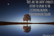 Trees are the earth’s endless effort to speak to the listening heaven. – Rabindranath Tagore