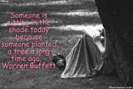 Someone is sitting in the shade today because someone planted a tree a long time ago. – Warren Buffett