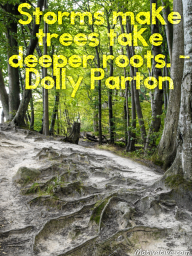 Storms make trees take deeper roots. – Dolly Parton