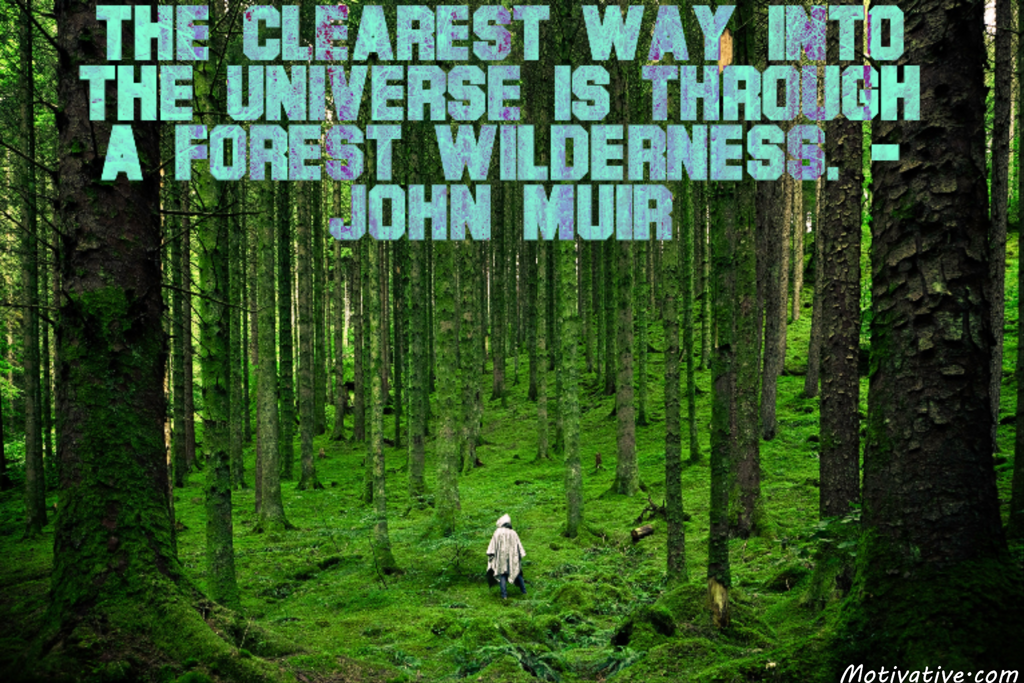 The clearest way into the Universe is through a forest wilderness. – John Muir