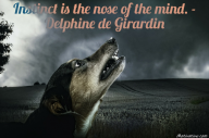 Instinct is the nose of the mind. – Delphine de Girardin