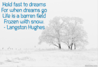 Hold fast to dreams  For when dreams go  Life is a barren field  Frozen with snow.  – Langston Hughes