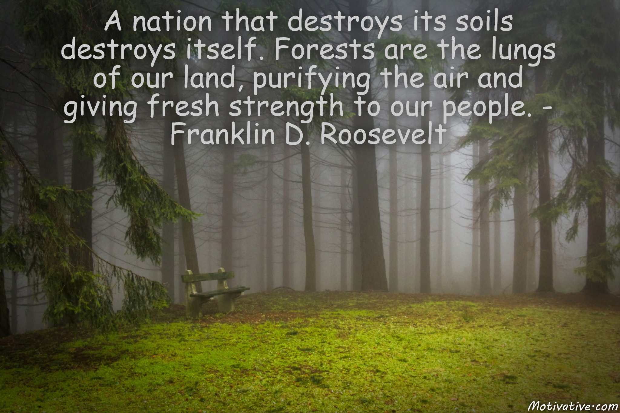 A nation that destroys its soils destroys itself. Forests are the lungs of our land, purifying the air and giving fresh strength to our people. – Franklin D. Roosevelt