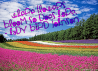 Where flowers bloom so does hope. – Lady Bird Johnson