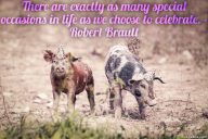 There are exactly as many special occasions in life as we choose to celebrate. – Robert Brault