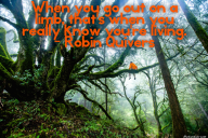 When you go out on a limb, that’s when you really know you’re living. – Robin Quivers